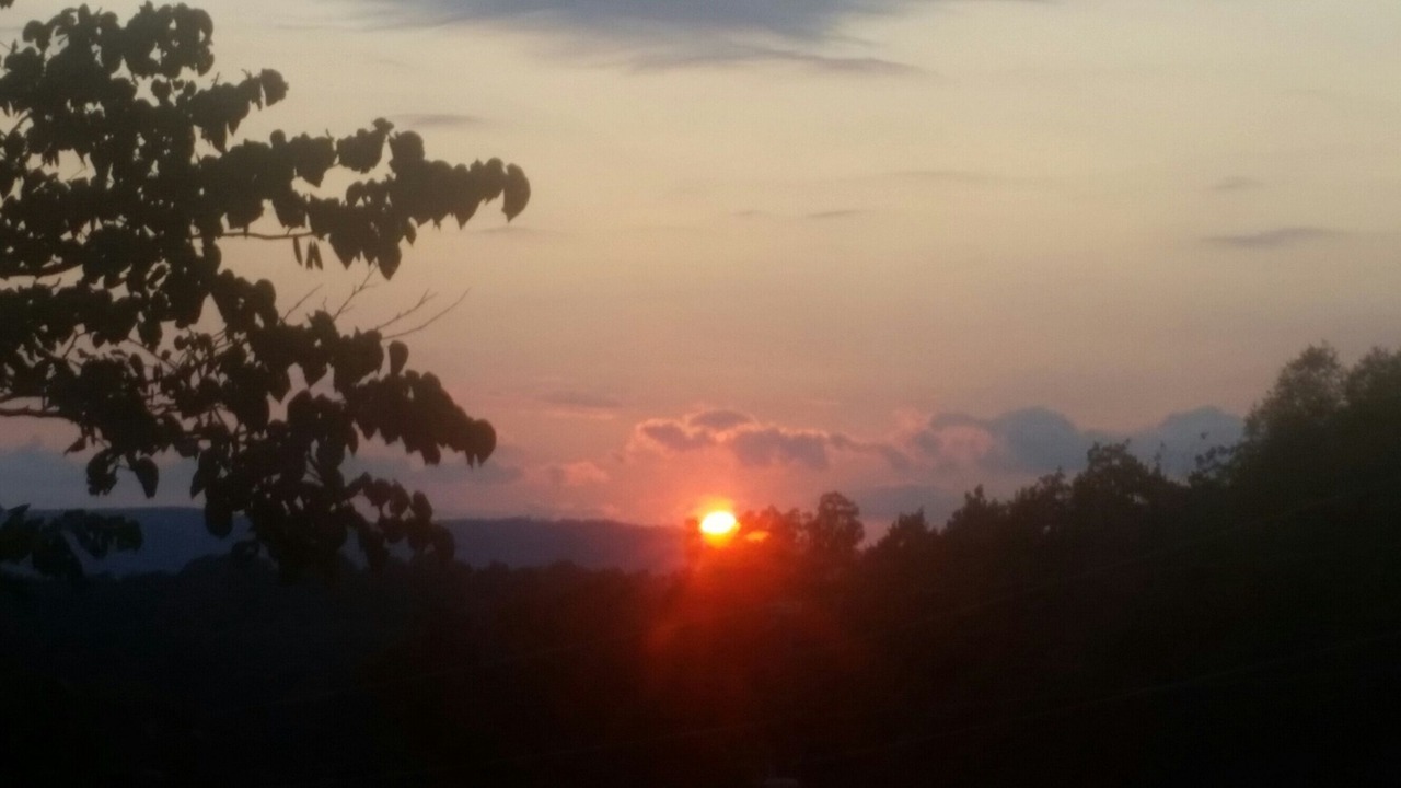 Photo of Outdoor in Harrison