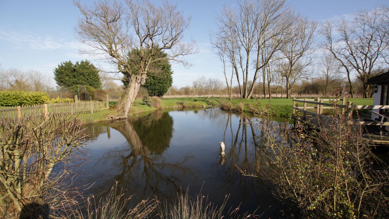 Photo of Bedroom in Diss