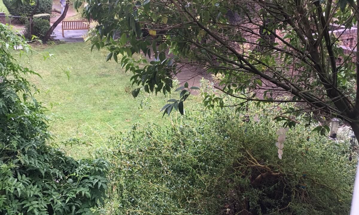 Photo of Outdoor in Queen's Park