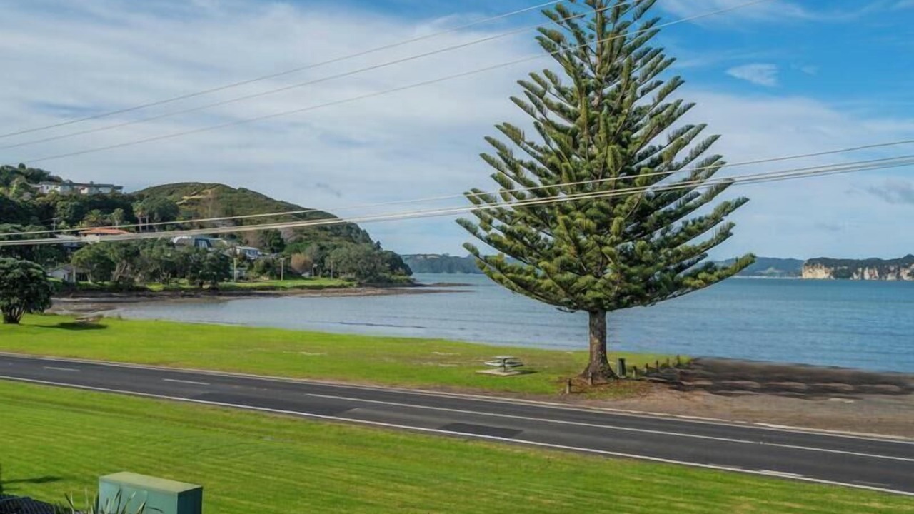 Photo of Outdoor in Whitianga