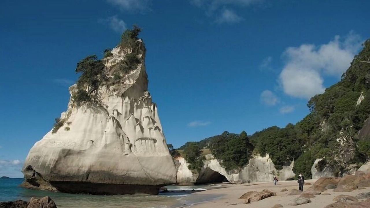 Photo of Others in Whitianga