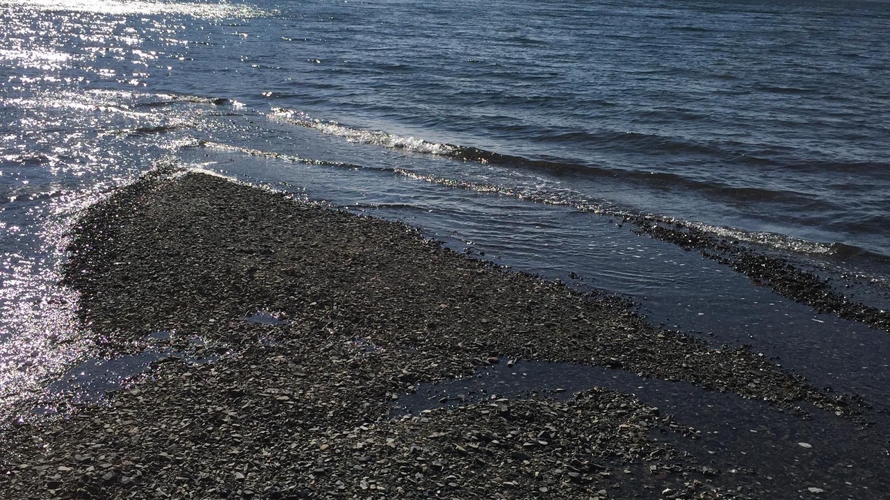 Photo of Others in Salsbury Cove