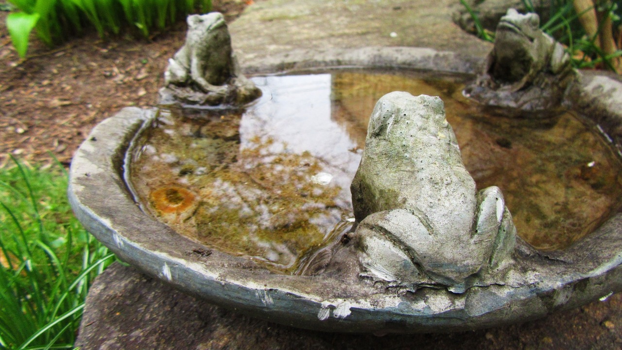 Photo of Outdoor in Fall River