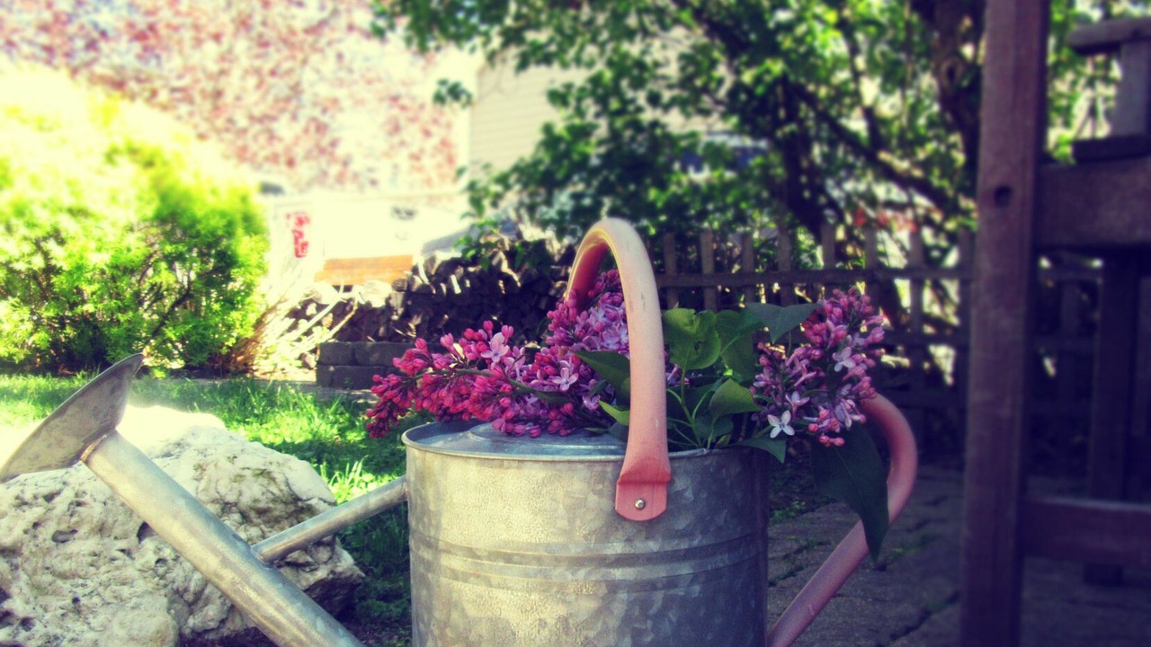 Photo of Outdoor in Fall River