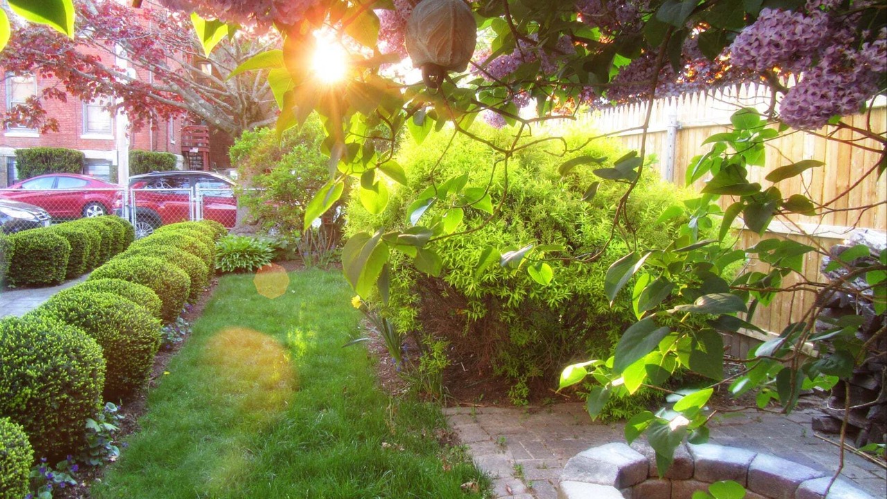 Photo of Outdoor in Fall River