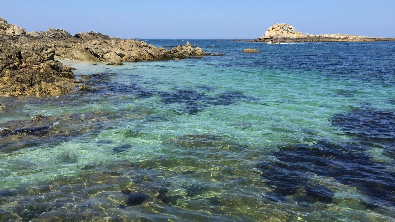 Photo of Others in Plouguerneau