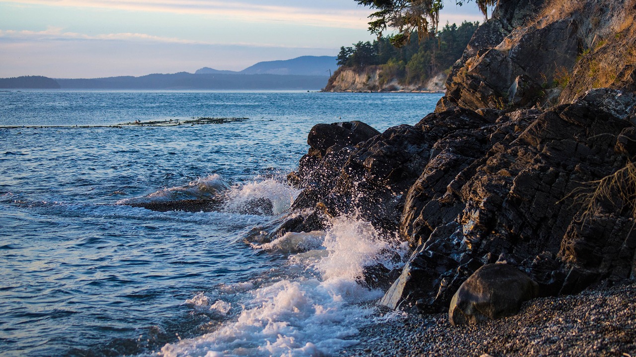 Photo of Others in Lopez Island