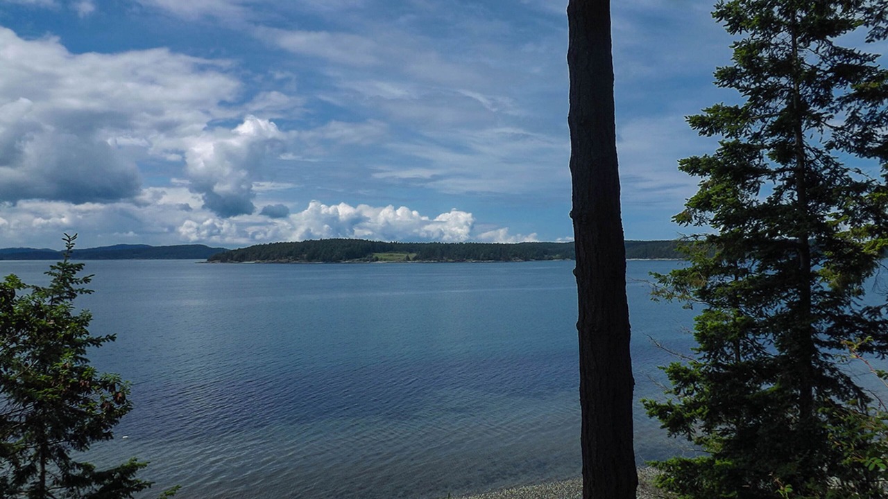 Photo of Others in Lopez Island