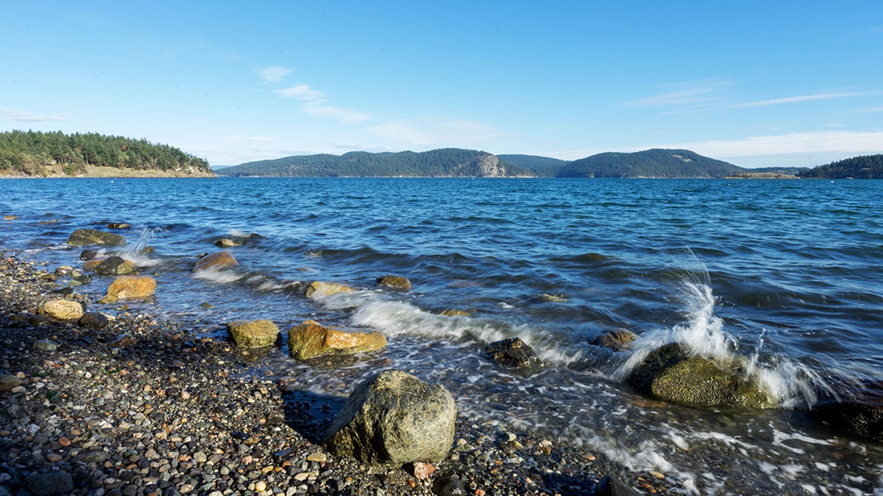 Photo of Others in Lopez Island