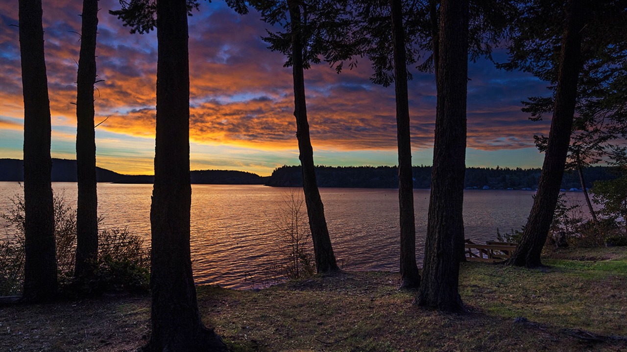 Photo of Others in Lopez Island