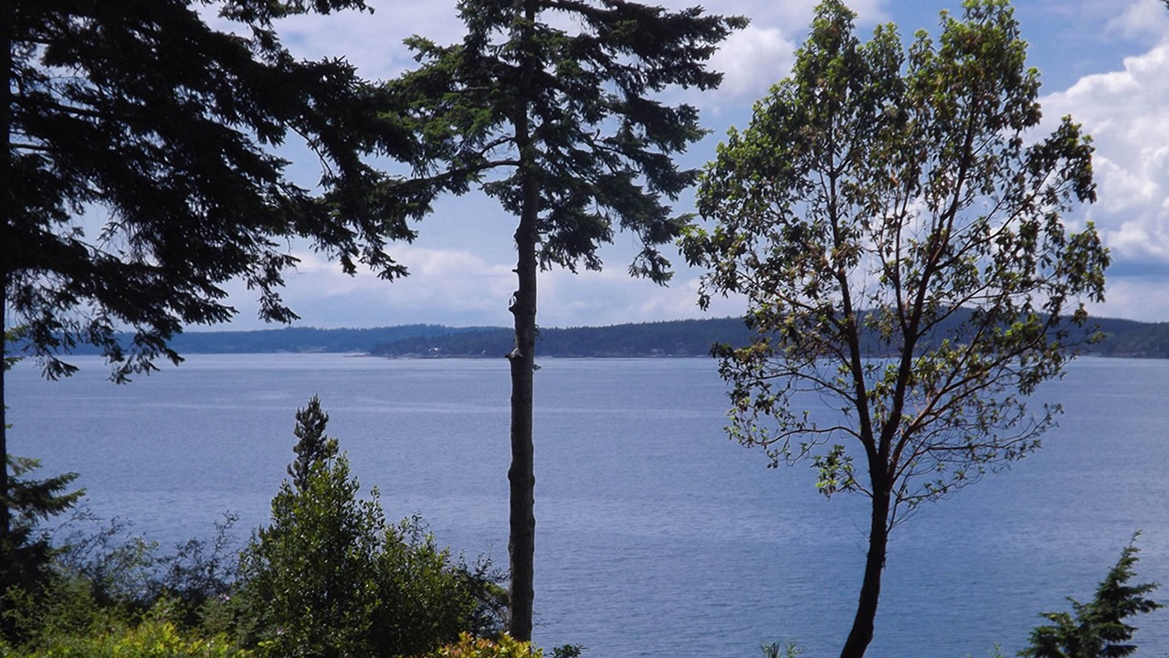 Photo of Others in Lopez Island