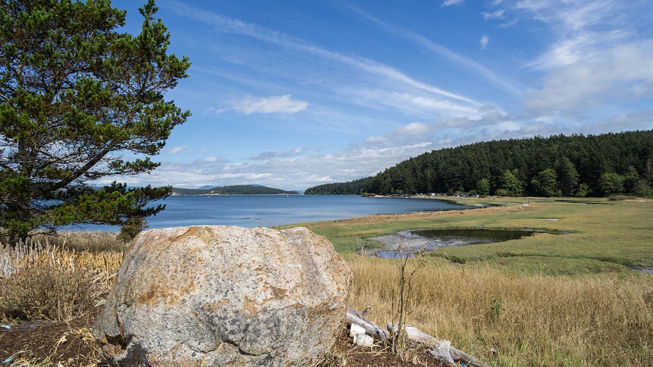 Photo of Others in Lopez Island