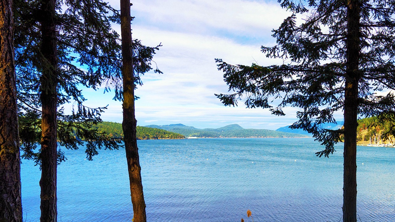 Photo of Others in Lopez Island
