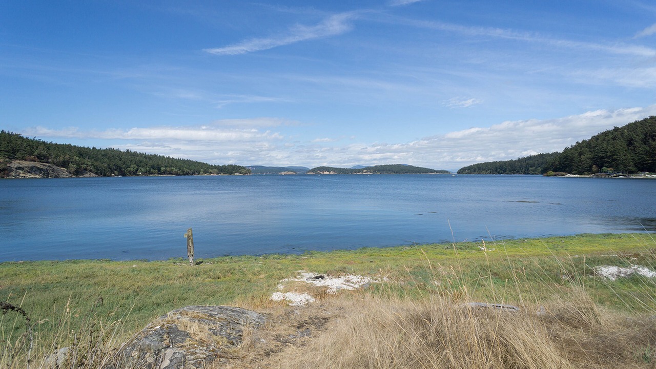 Photo of Others in Lopez Island