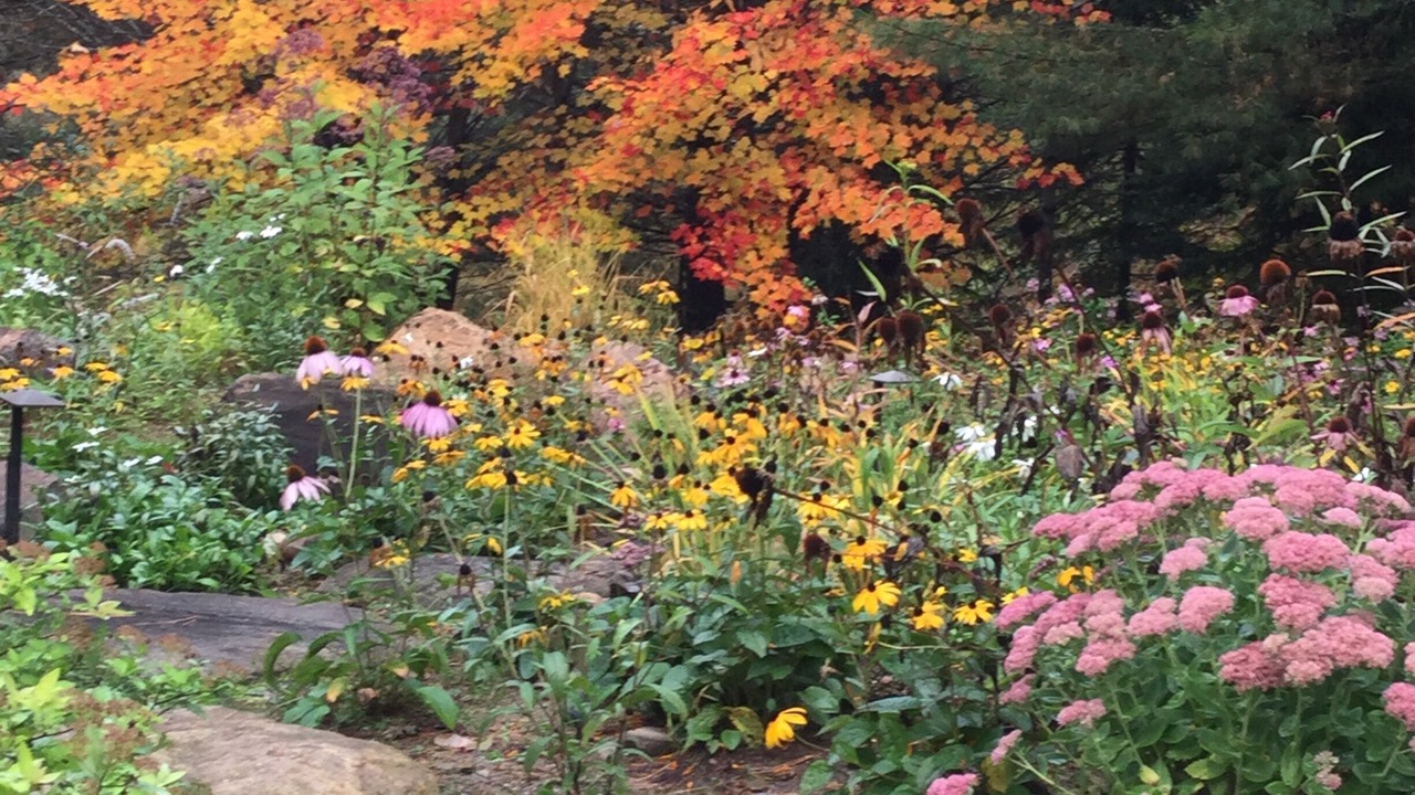 Photo of Outdoor in Watersmeet