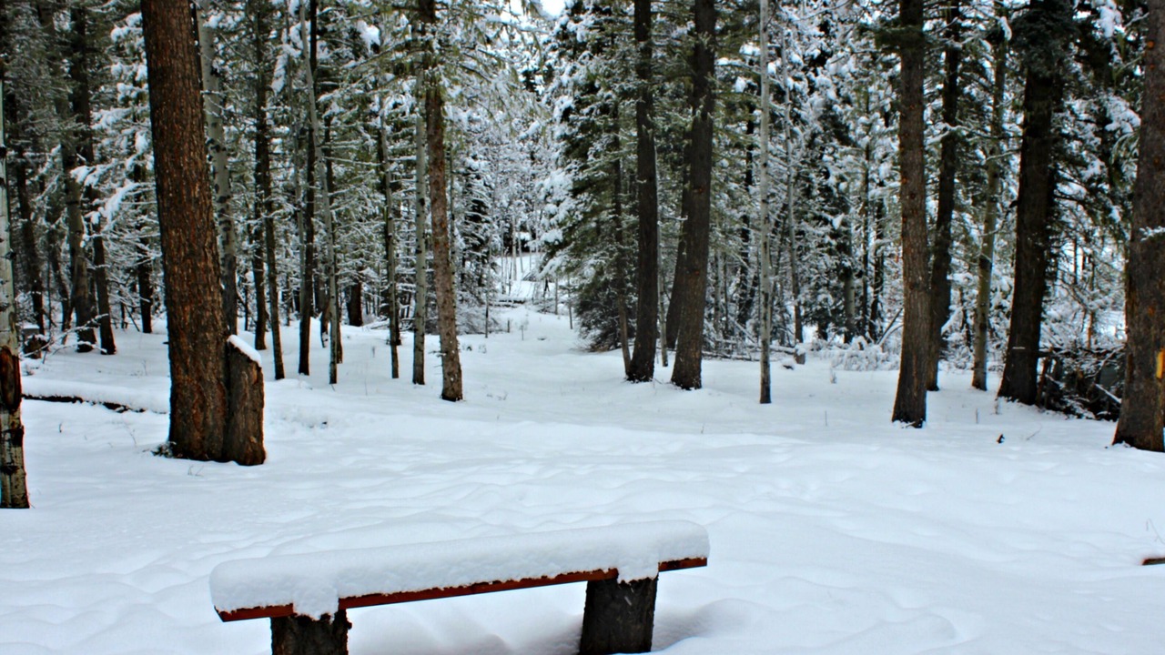 Photo of Others in Angel Fire