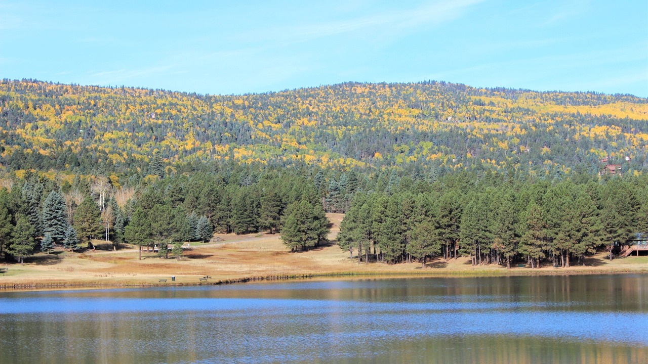 Photo of Outdoor in Angel Fire