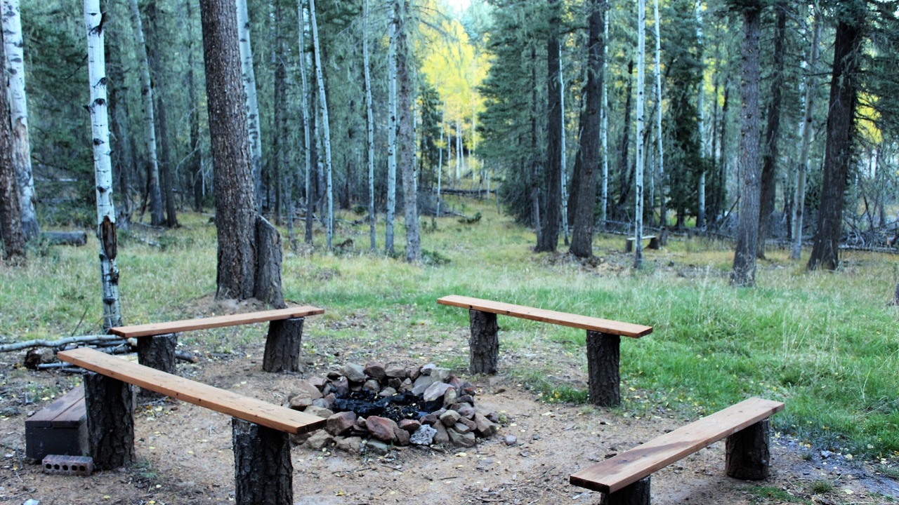 Photo of Others in Angel Fire