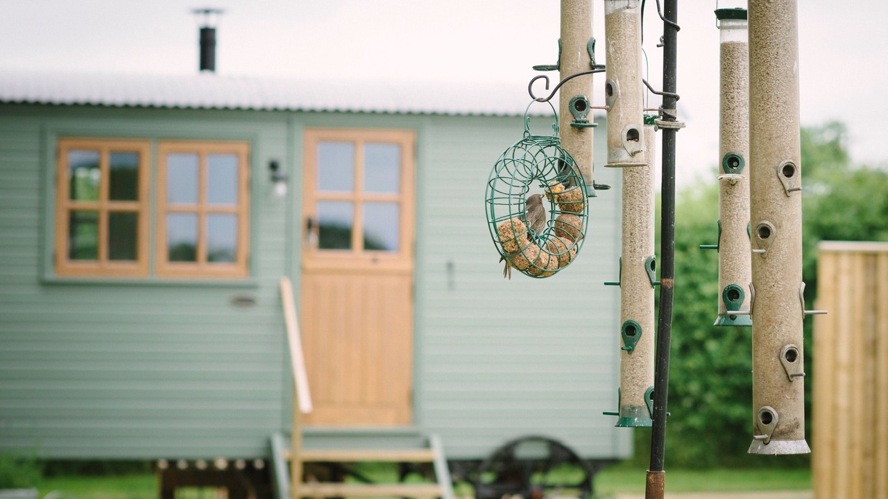 Photo of Outdoor in Thirsk