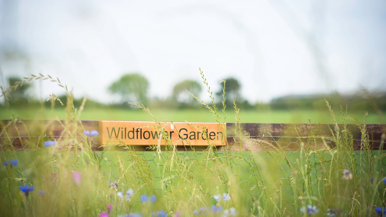 Photo of Outdoor in Thirsk