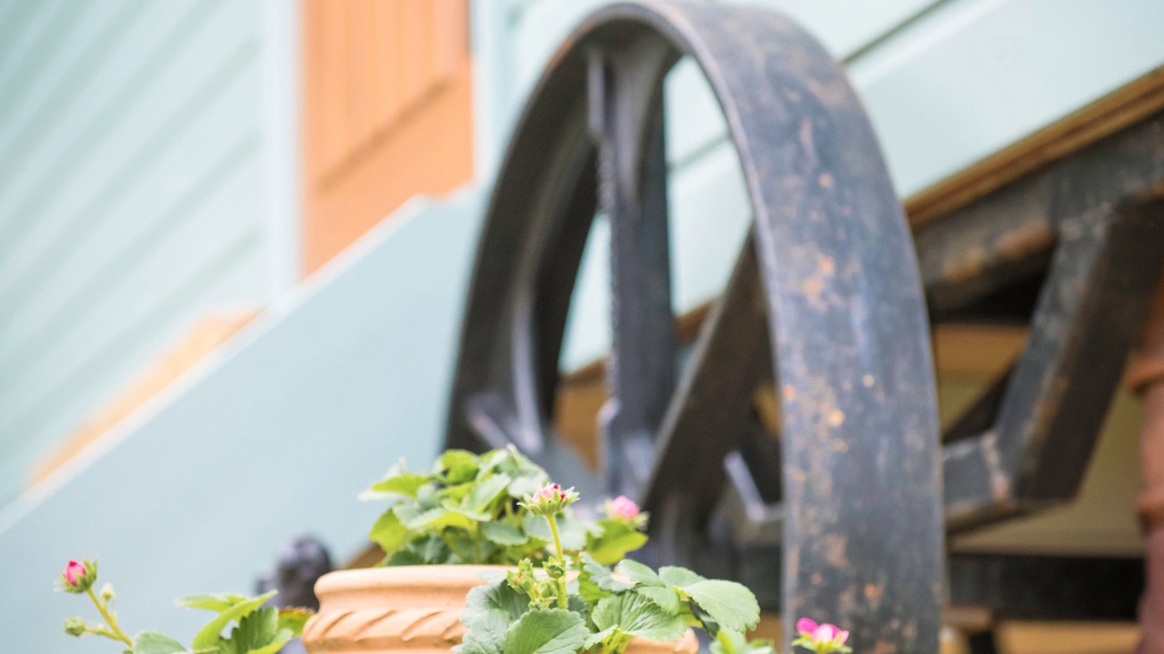 Photo of Outdoor in Thirsk