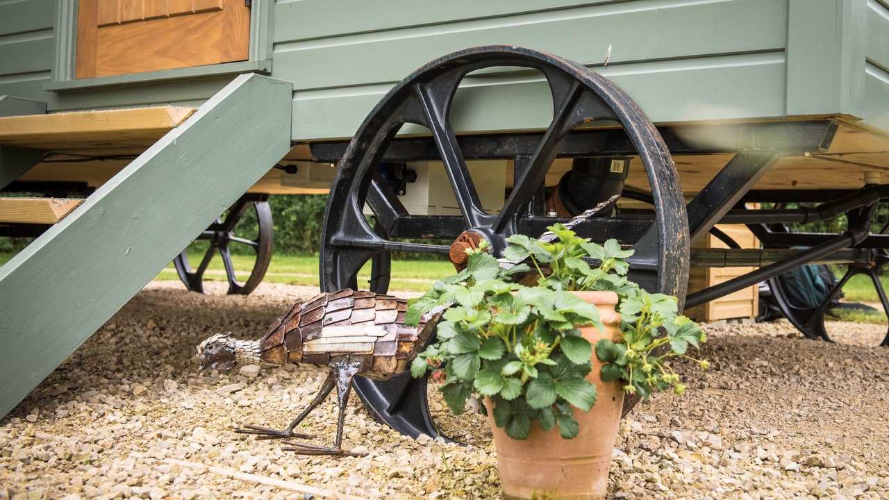 Photo of Outdoor in Thirsk