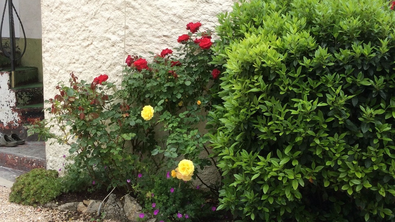 Photo of Outdoor in Courcelles