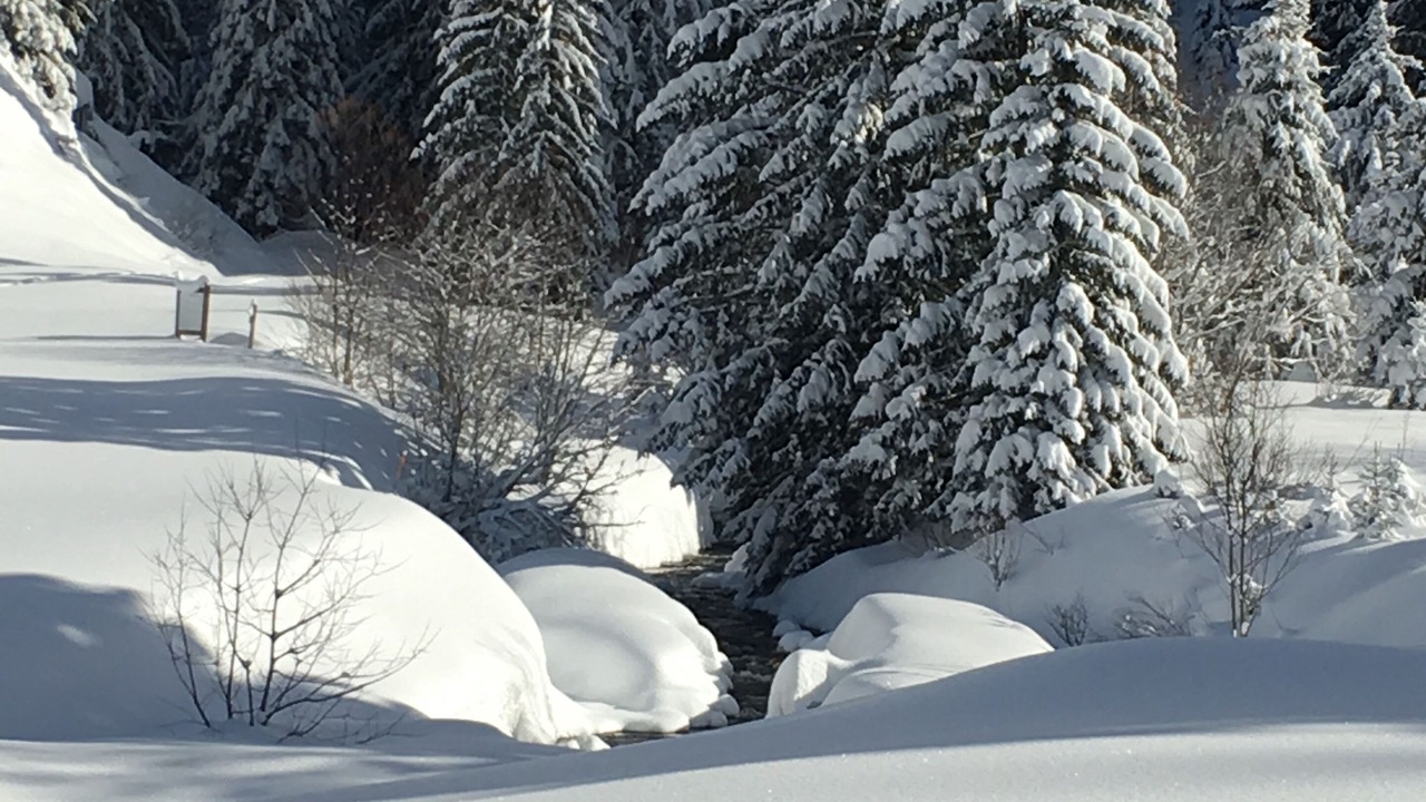 Photo of Others in Notre-Dame-de-Bellecombe