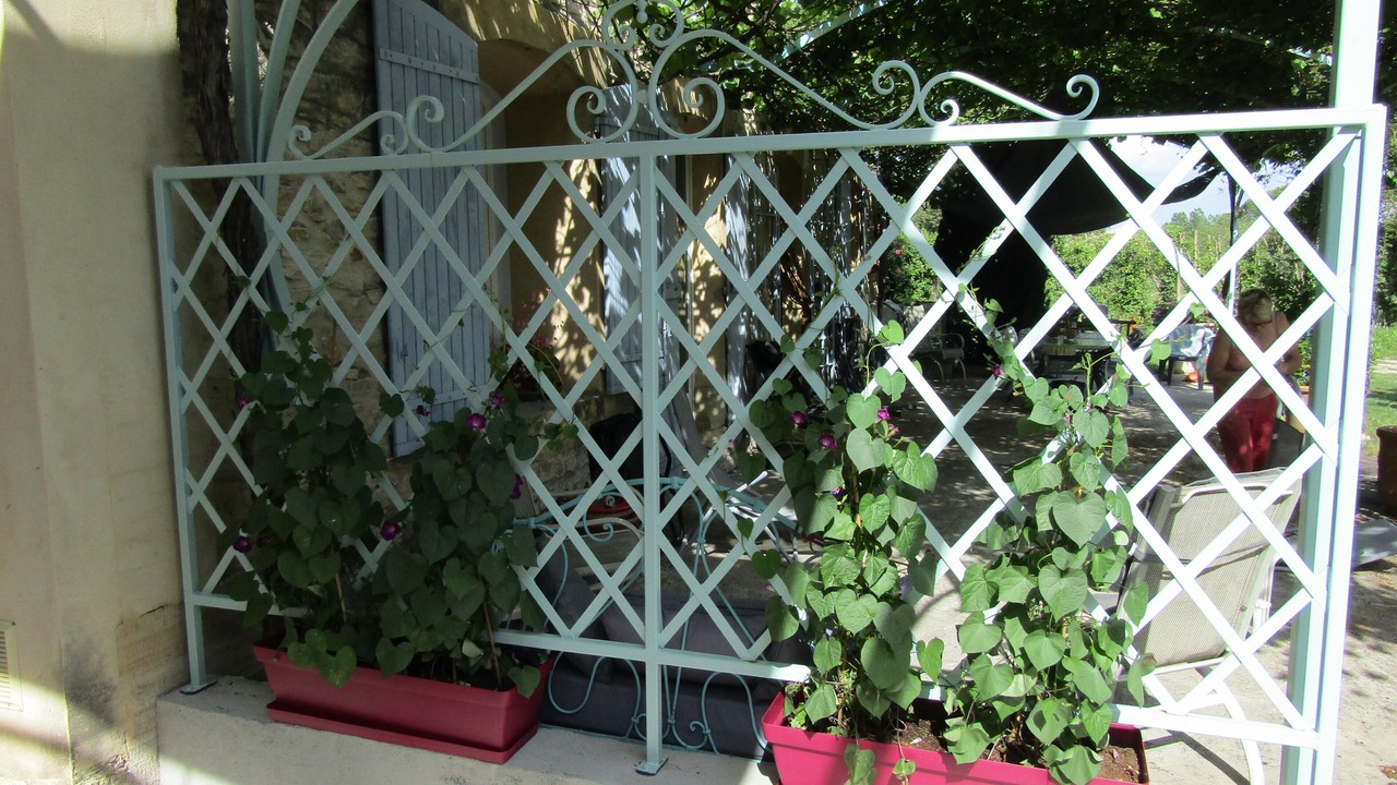 Photo of Outdoor in Loriol-du-Comtat