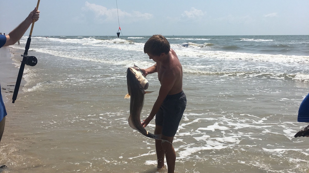 Photo of Others in Port Bolivar