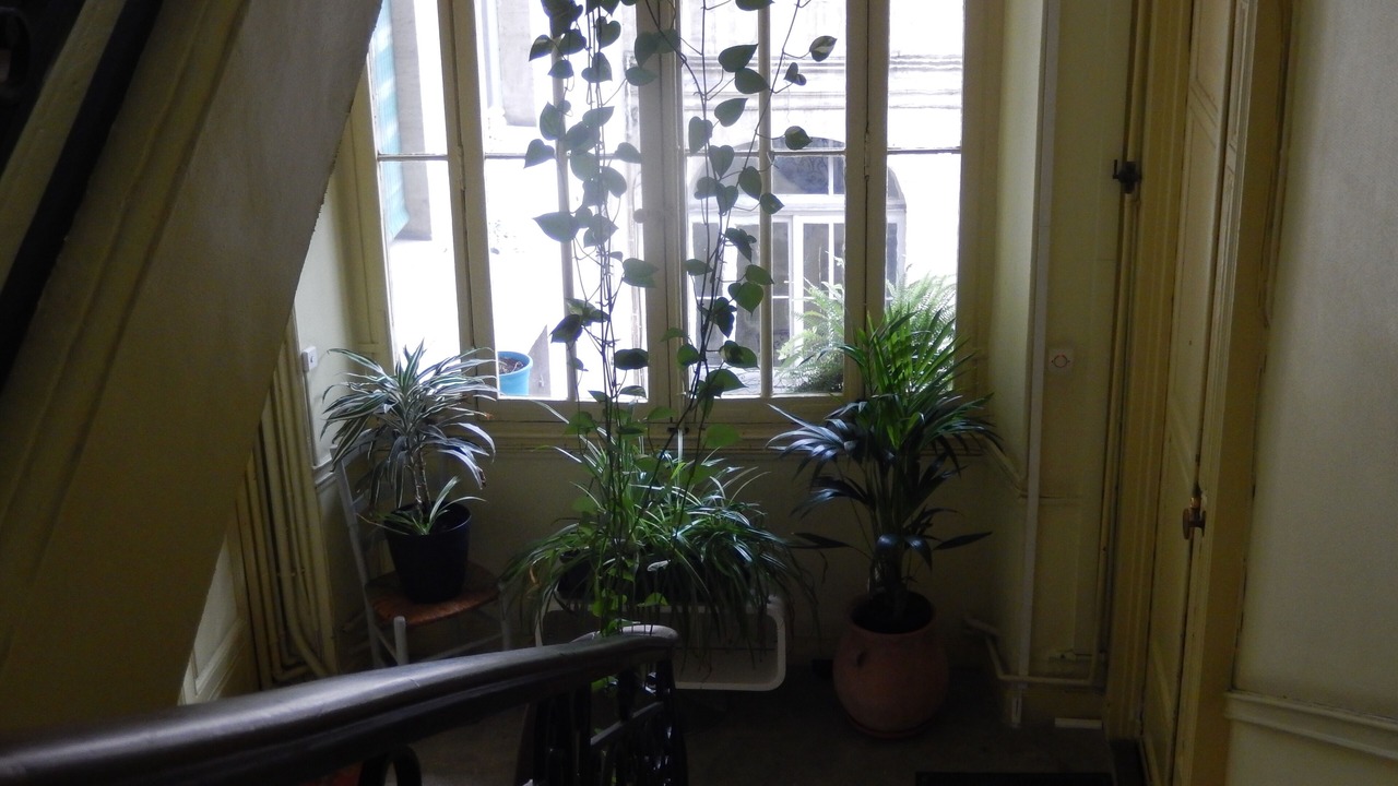 Photo of Others in Hotel de Ville - Quinconces