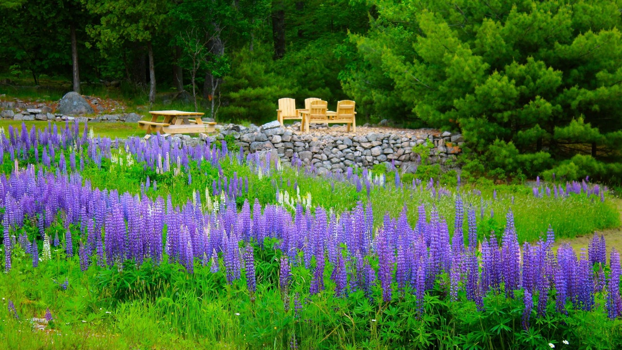 Photo of Others in Hall Quarry