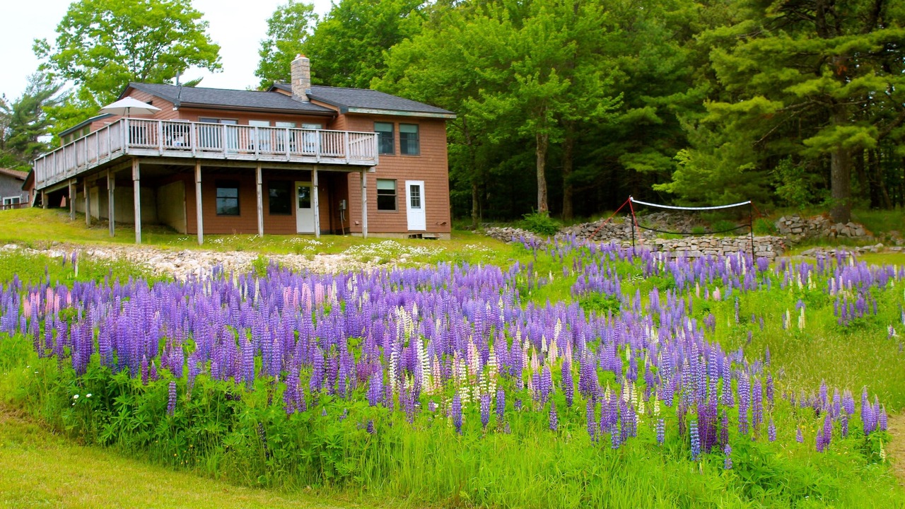 Photo of Others in Hall Quarry
