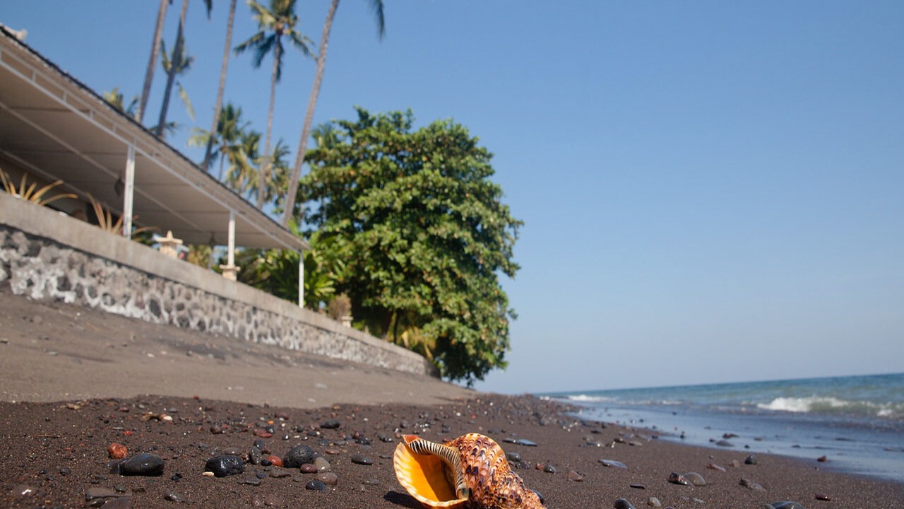 Photo of Others in Bondalem