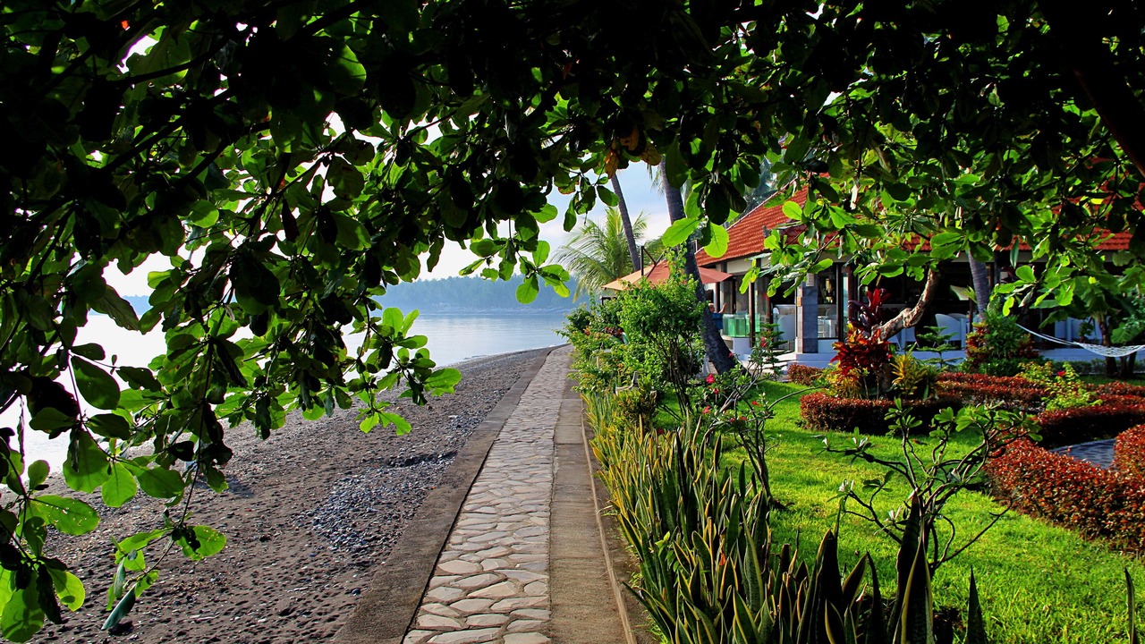 Photo of Outdoor in Bondalem