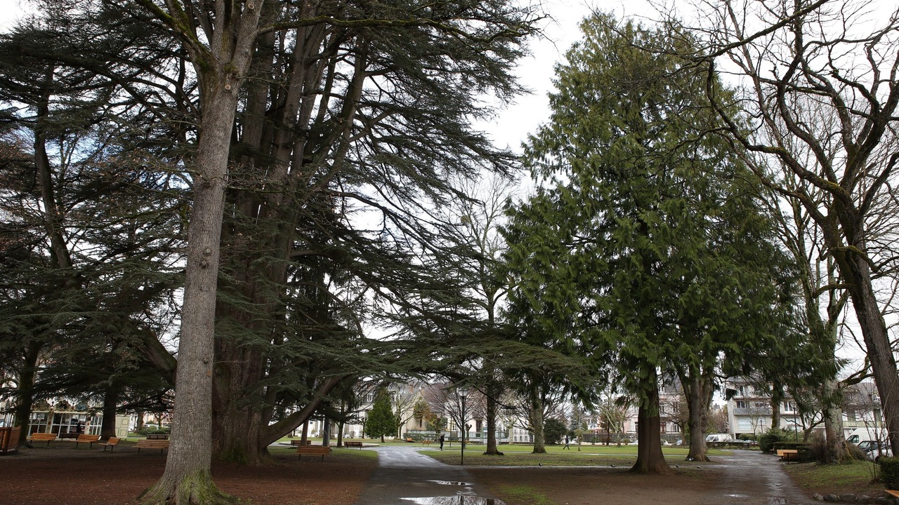 Photo of Outdoor in Bagneres-de-Bigorre