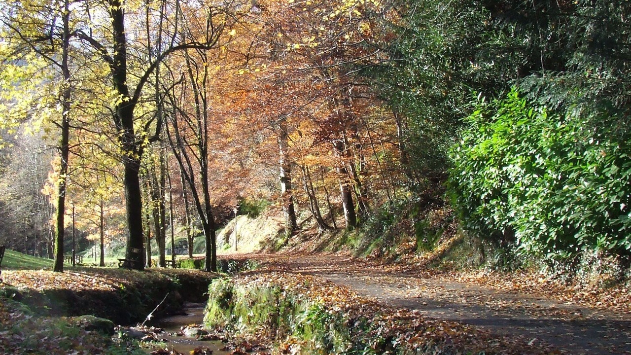 Photo of Outdoor in Bagneres-de-Bigorre