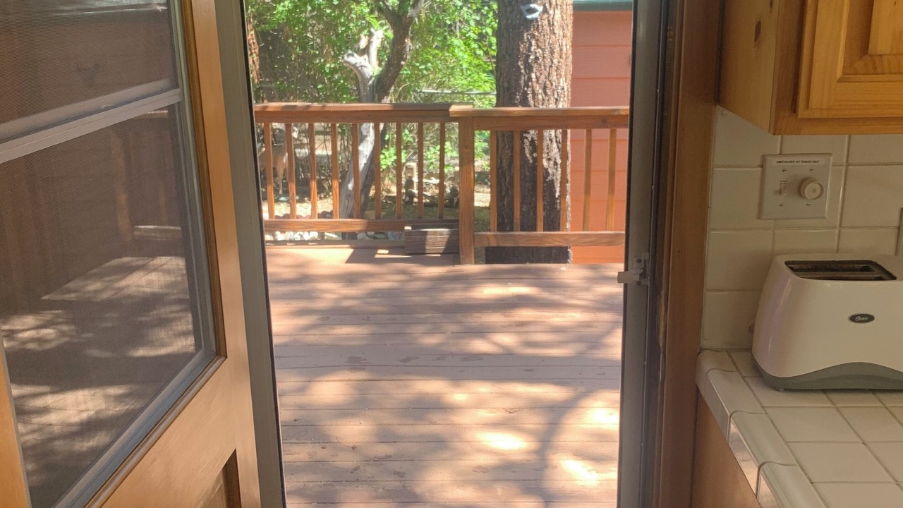 Photo of Others in Big Bear City