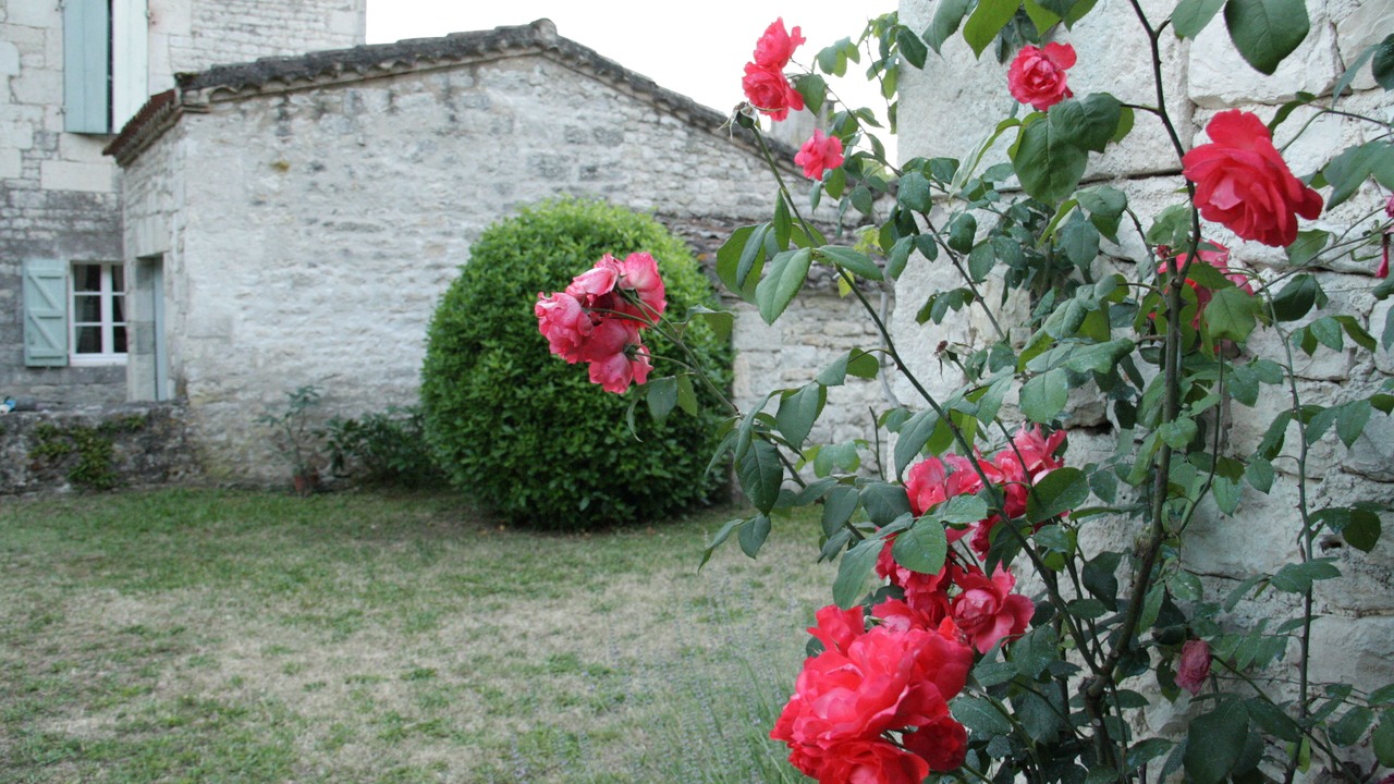 Photo of Outdoor in Valprionde