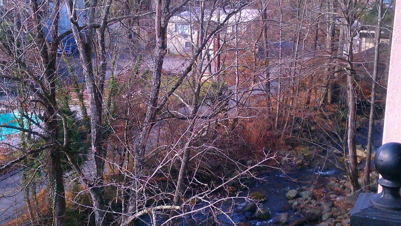 Photo of Others in Gatlinburg