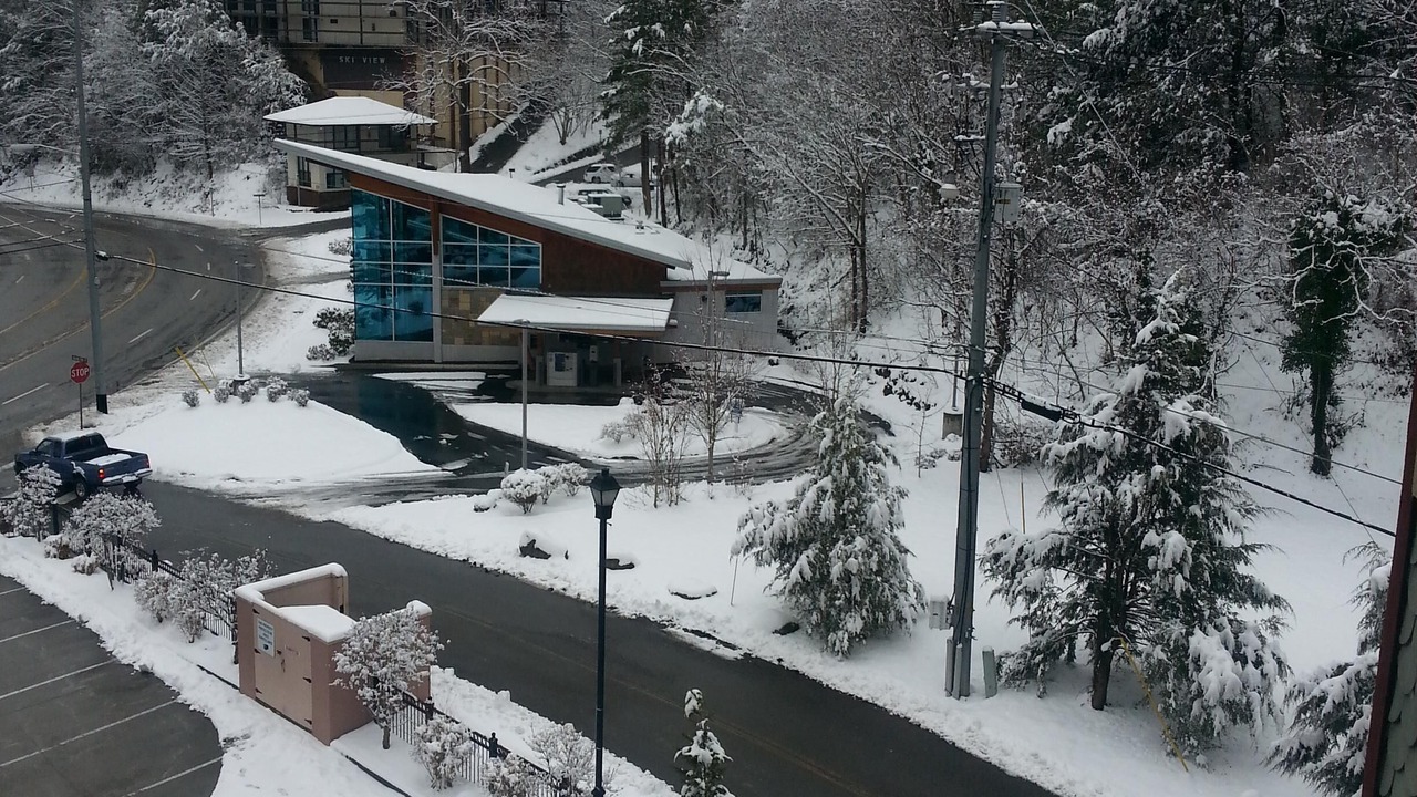 Photo of Others in Gatlinburg