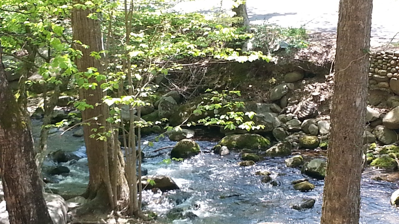 Photo of Others in Gatlinburg