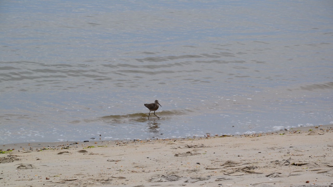 Photo of Others in Westbrook Center