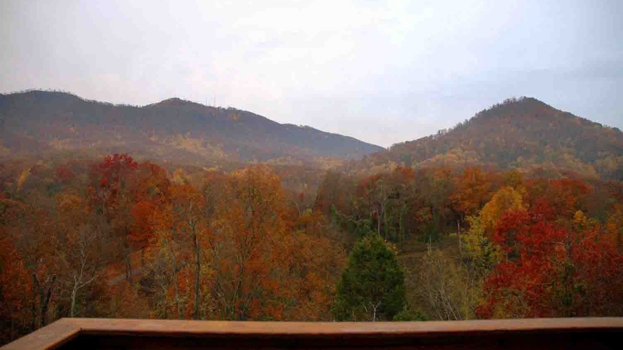 Photo of Others in Sevierville
