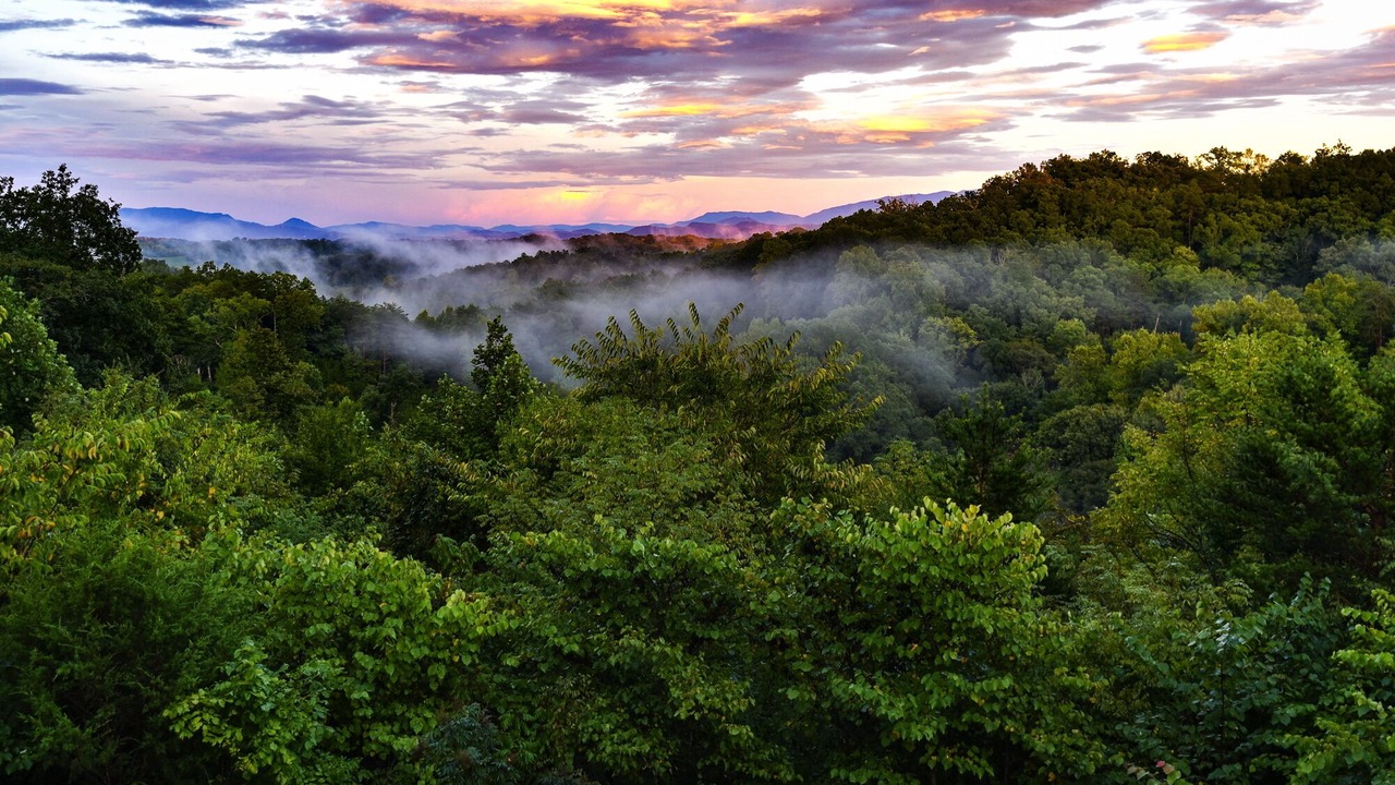 Photo of Others in Sevierville