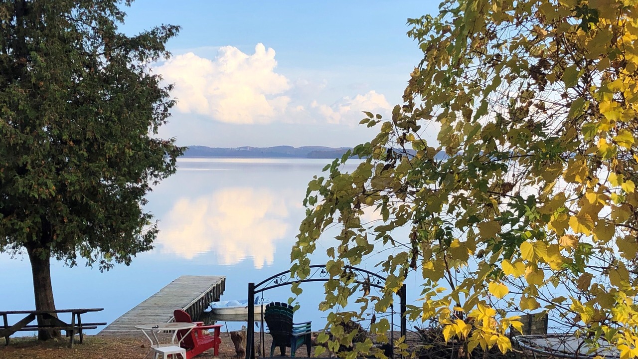 Photo of Outdoor in Roseneath