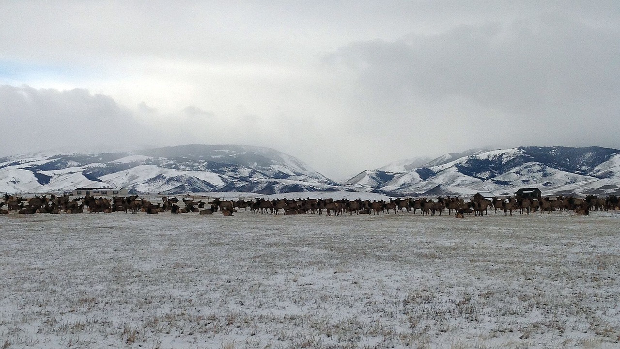 Photo of Others in Livingston