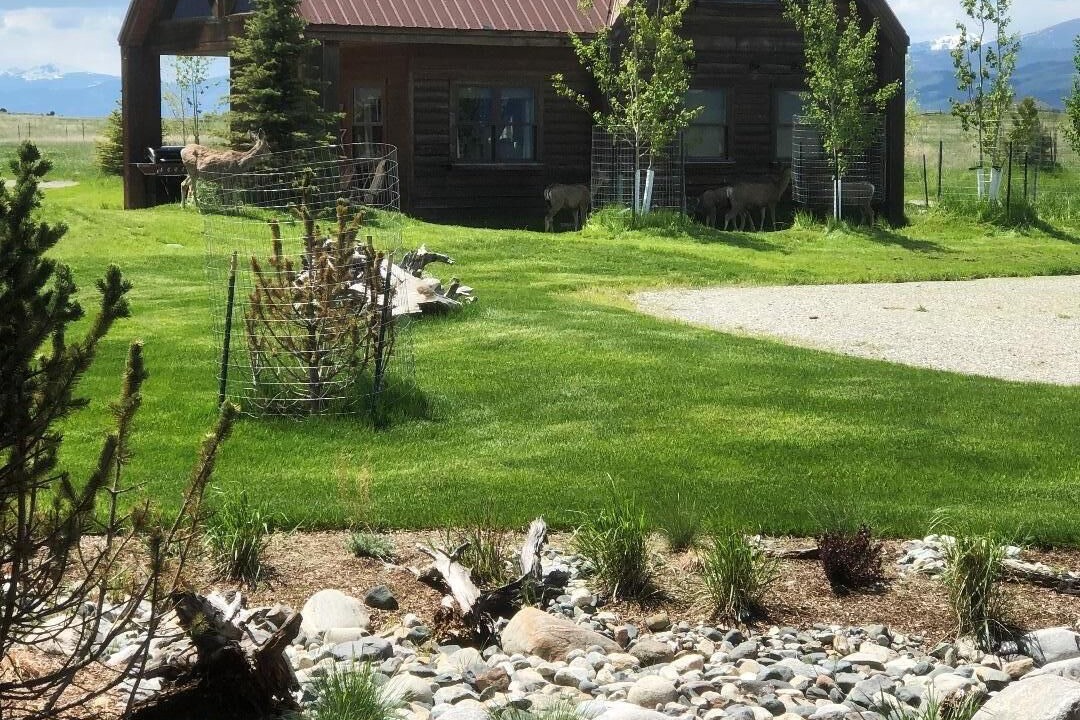 Photo of Outdoor in Livingston