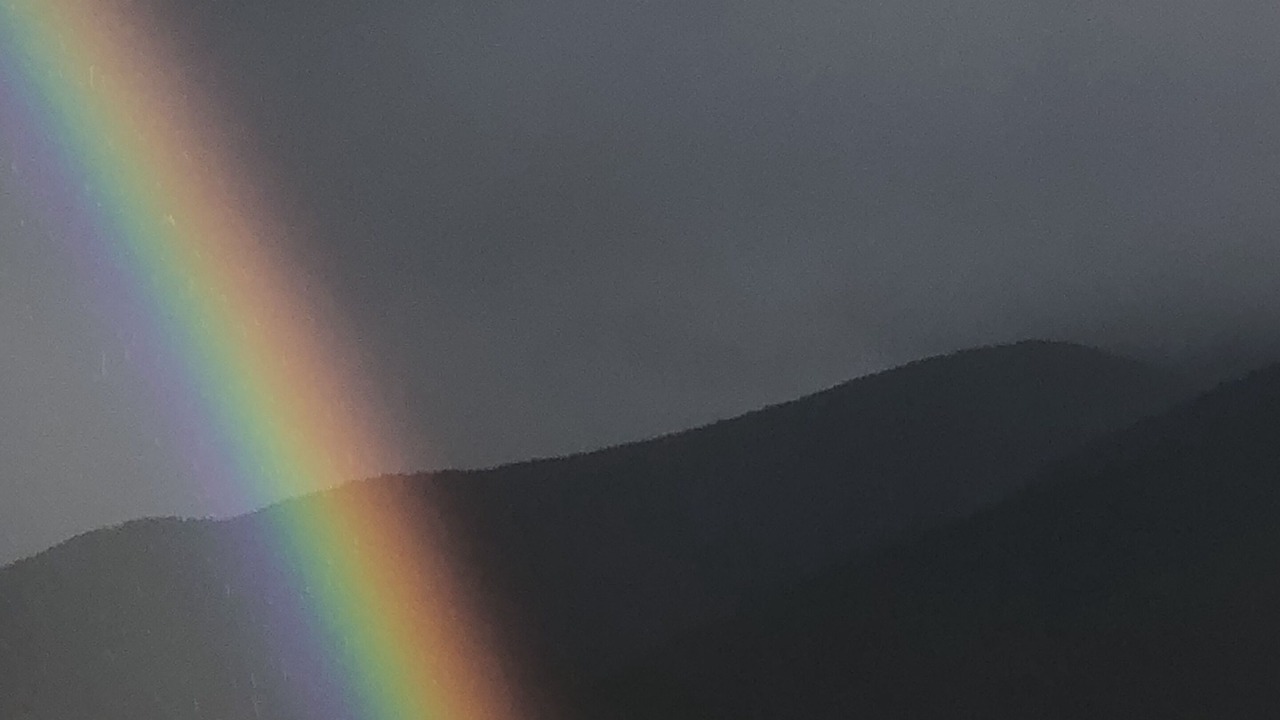 Photo of Others in Livingston