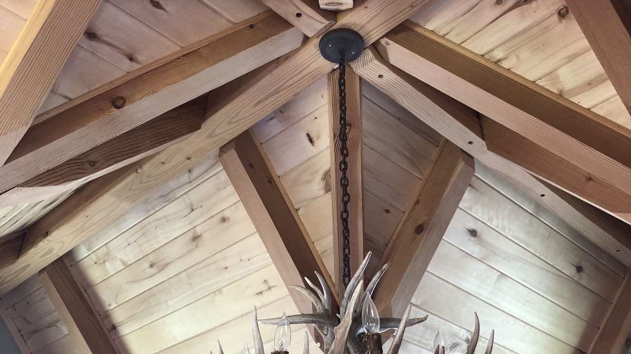 Photo of Others in Livingston